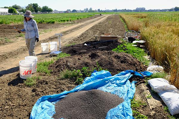 Crucial organic farming issue addressed by UC workshops, collaborations