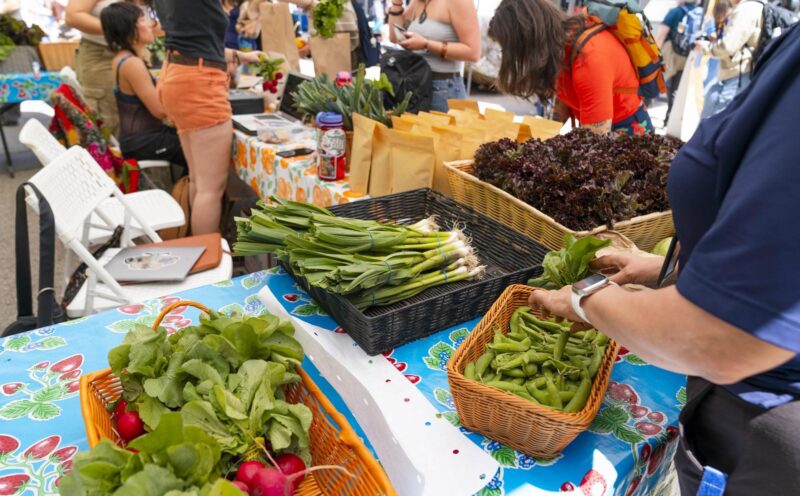 Center for Agroecology will support new USDA Regional Food Business Center
