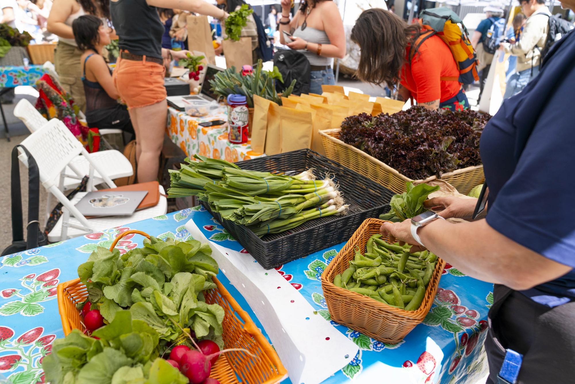 Table at a farmer's market with fresh produce for sale