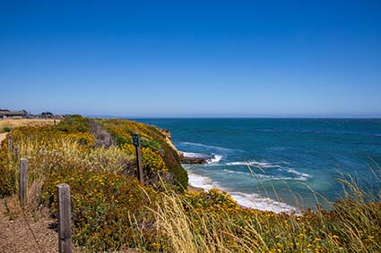 Engineering faculty take on innovative climate resilience projects