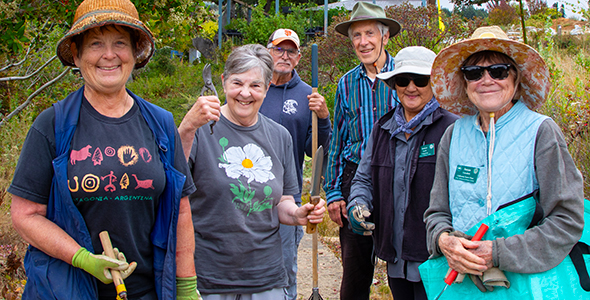 Retired faculty member Linda Anderson connects to her nature-loving roots volunteering at the Arboretum