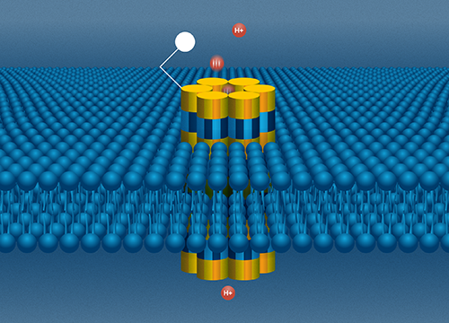 Novel device combines nanopores with electronic signals for disease detection