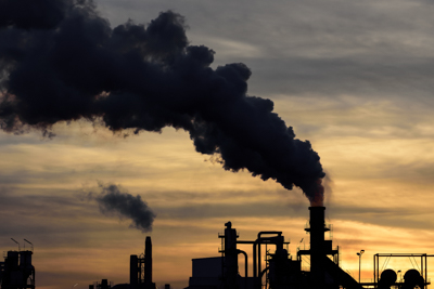 Research partnership will turn power plant emissions into fish feed
