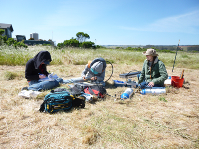 Global study shows extreme short-term drought has even greater impacts on grasslands and shrublands than previously thought