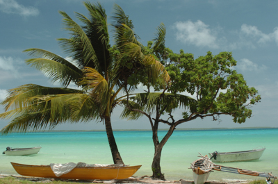 To plan a sustainable future for seafood access in small island developing states, researchers highlight solutions hiding in plain sight