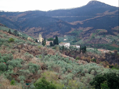 Anthropologists document how women and shepherds historically reduced wildfire risk in Central Italy