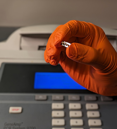 New diagnostic tool achieves accuracy of PCR tests with faster and simpler nanopore system