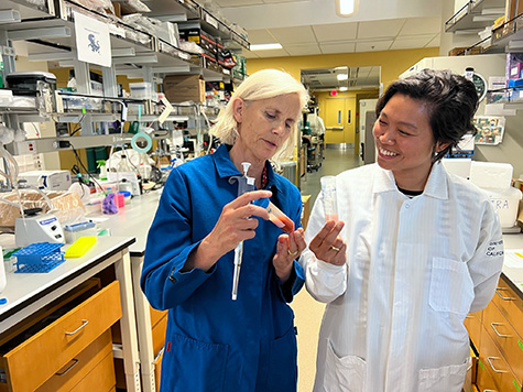 Stem cell study reveals distinct population of ‘troublemaker’ platelet cells that appear with aging and lead to blood clotting, disease