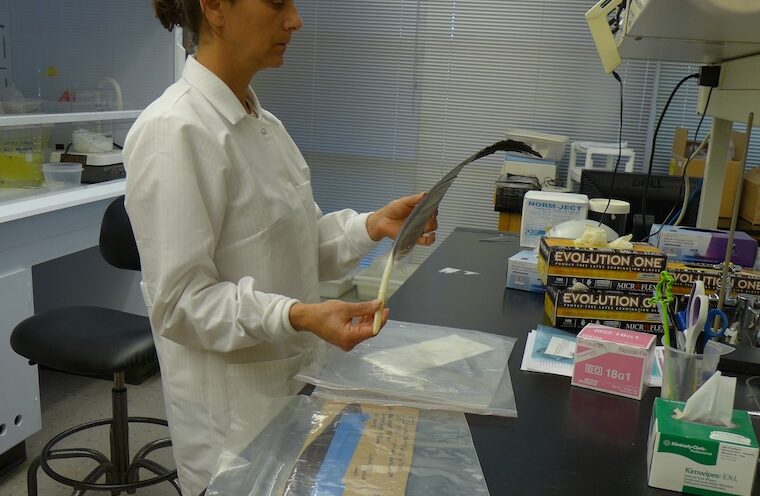 Environmental toxicologist wins funding to use feathers to test for lead exposure in birds