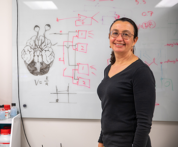 Researchers to investigate genetic roots of autism, look for new treatments