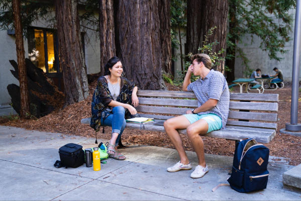 New initiatives to strengthen campus climate, combat hate