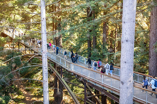 Estimated $20 million gift to UC Santa Cruz for undergraduate scholarships to support educational excellence, access