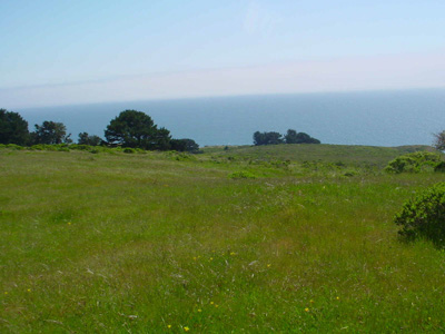 Grasslands live in the climate change fast lane