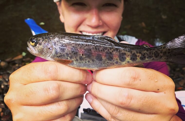 $7.5 million awarded to UC Santa Cruz to support leadership in salmon-recovery science