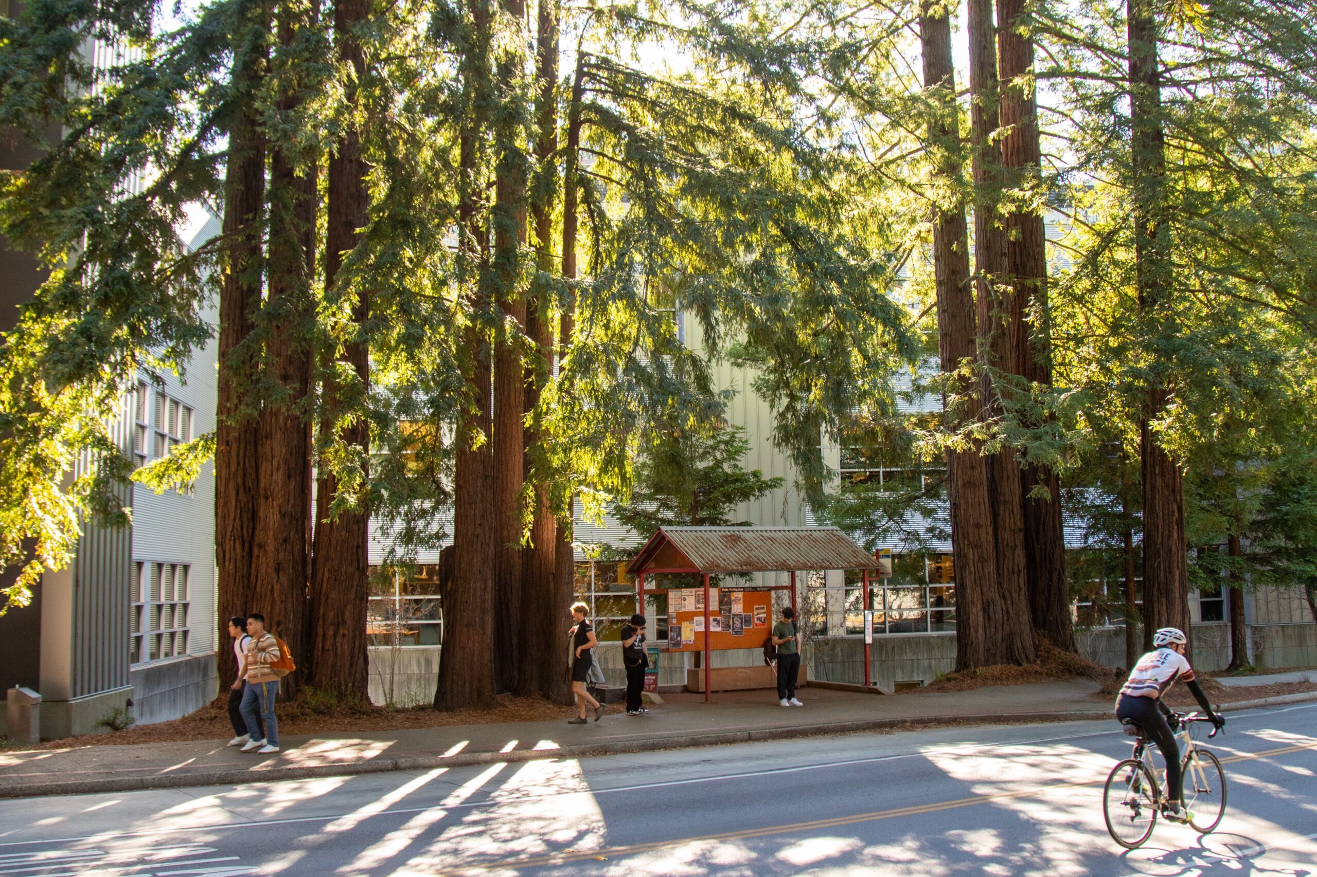 Enhancing street safety for the UC Santa Cruz community