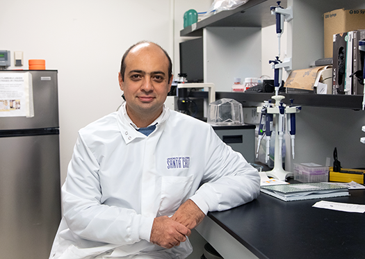 New grant funds effort to uncover therapeutic targets for neuropsychiatric disorders