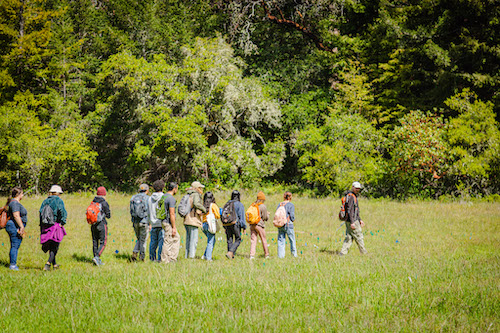 UC Santa Cruz celebrates Teaching Week 2025 with Symposium, AI Discussion, and Distinguished Teaching Award Lecture