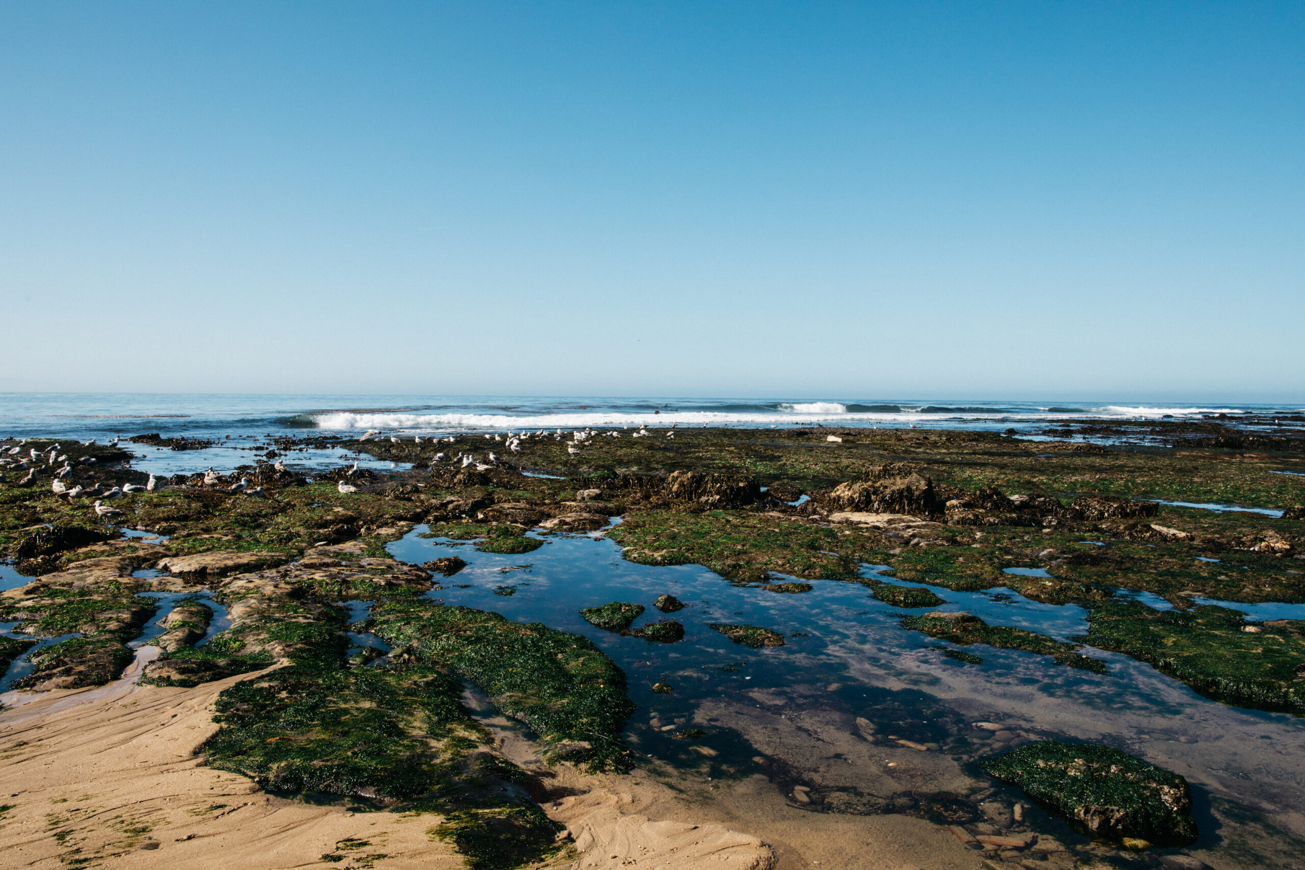 North Coast tide pools