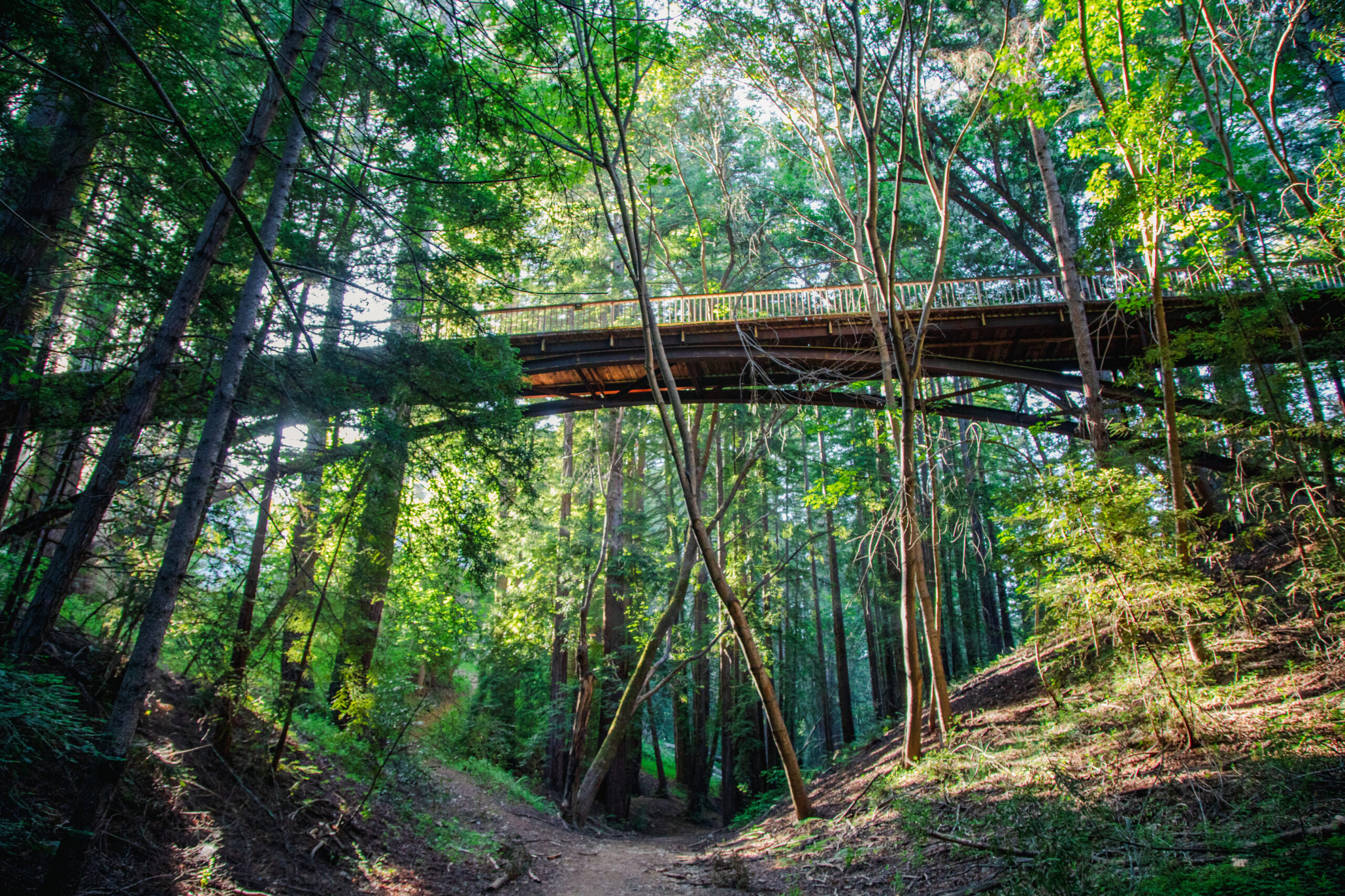 Bridge from below