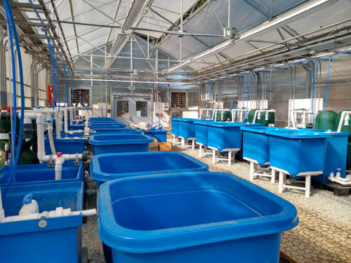 tanks and pipes are assembled inside the team's new research facility