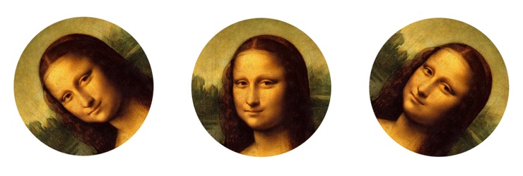 davidenko-mona-740.jpg