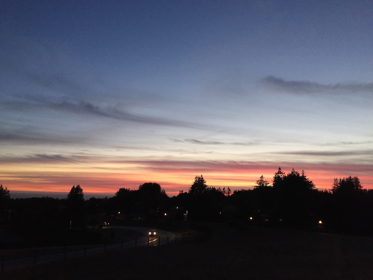 Evening Glow