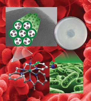 Drug-resistant bacteria treatment illustration