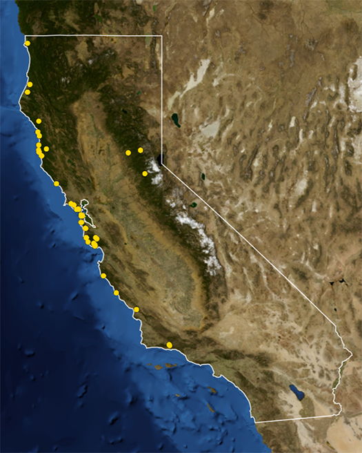 map_525.png