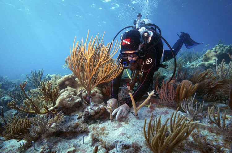 Forum captures urgency to use ecosystems now to keep people safe from looming natural disasters