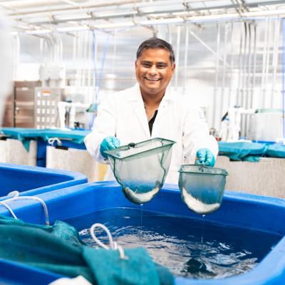 New study shows how microalgae could help advance sustainable trout farming