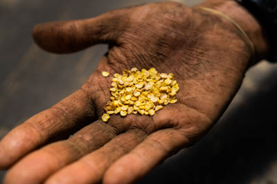 pepper-seeds-400.jpg