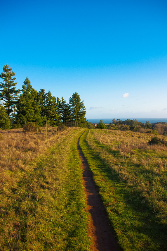 Road to the nature