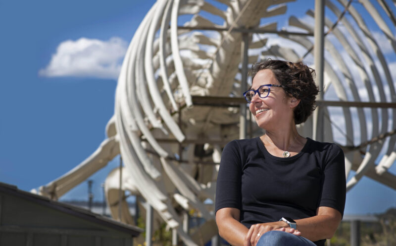 Acclaimed evolutionary biologist Beth Shapiro elected to National Academy of Sciences