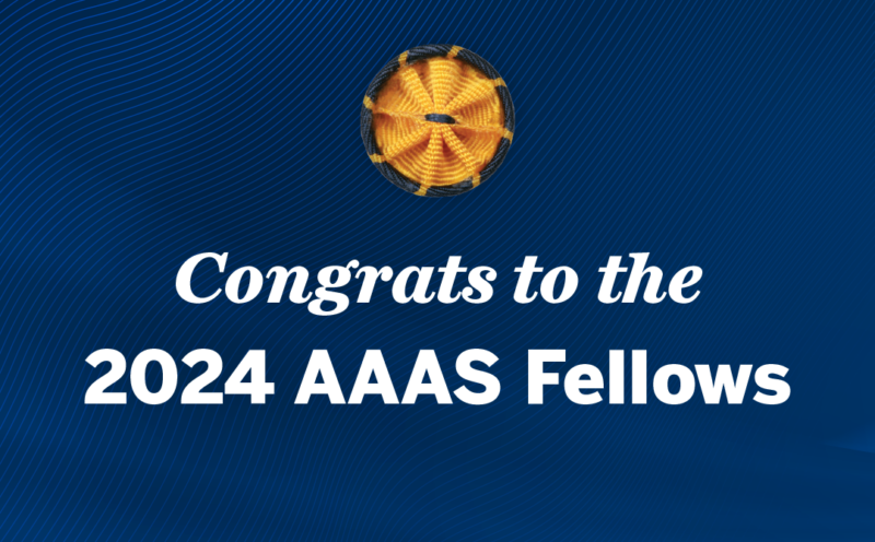 Three UC Santa Cruz faculty members named 2024 AAAS fellows