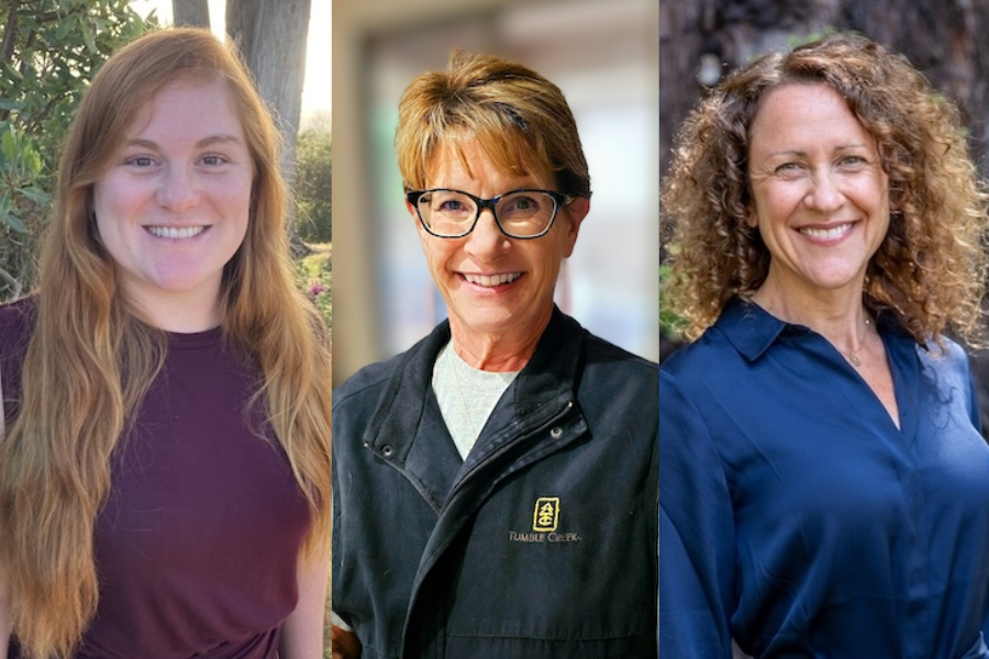Composite image of award winners
