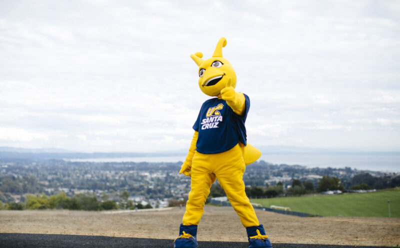 Strengthening campus connections: UCSC launches Slug Family Hub