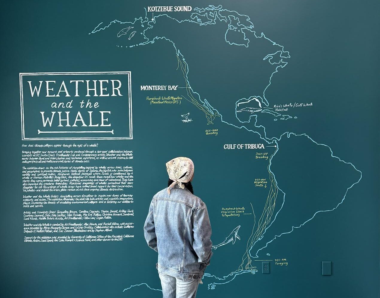 person looking at chalkboard map of the americas
