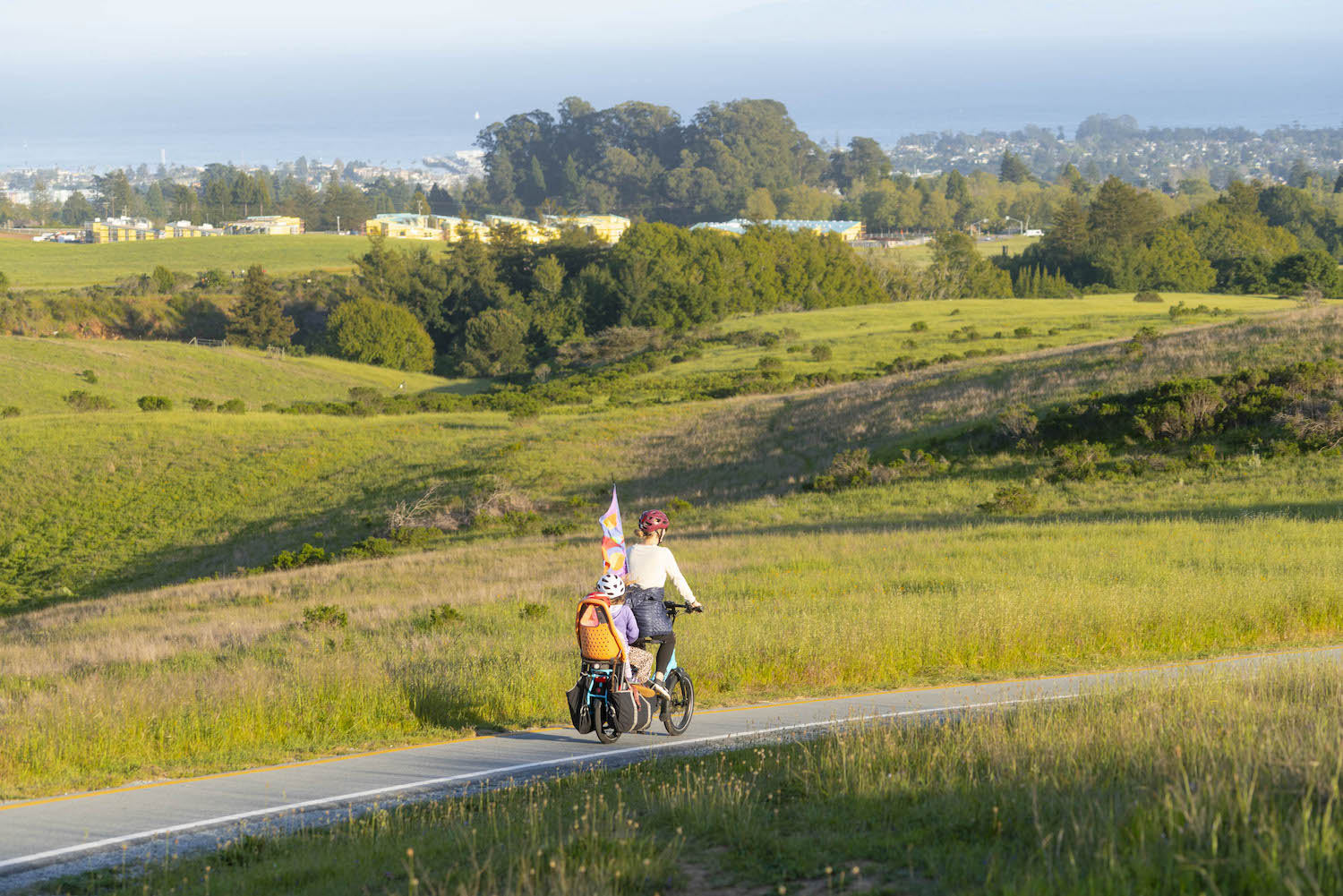 Bike Path in Spring