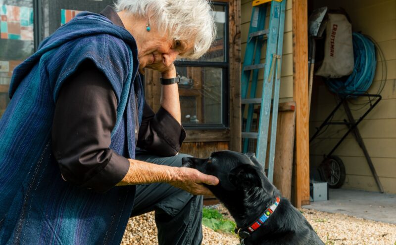 Donna Haraway, Distinguished Professor Emerita in the History of Consciousness Department, receives international honors