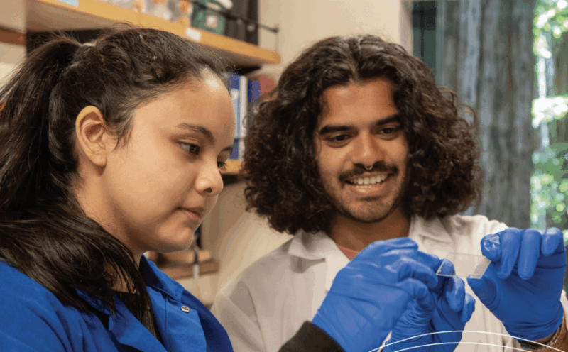 The future of science