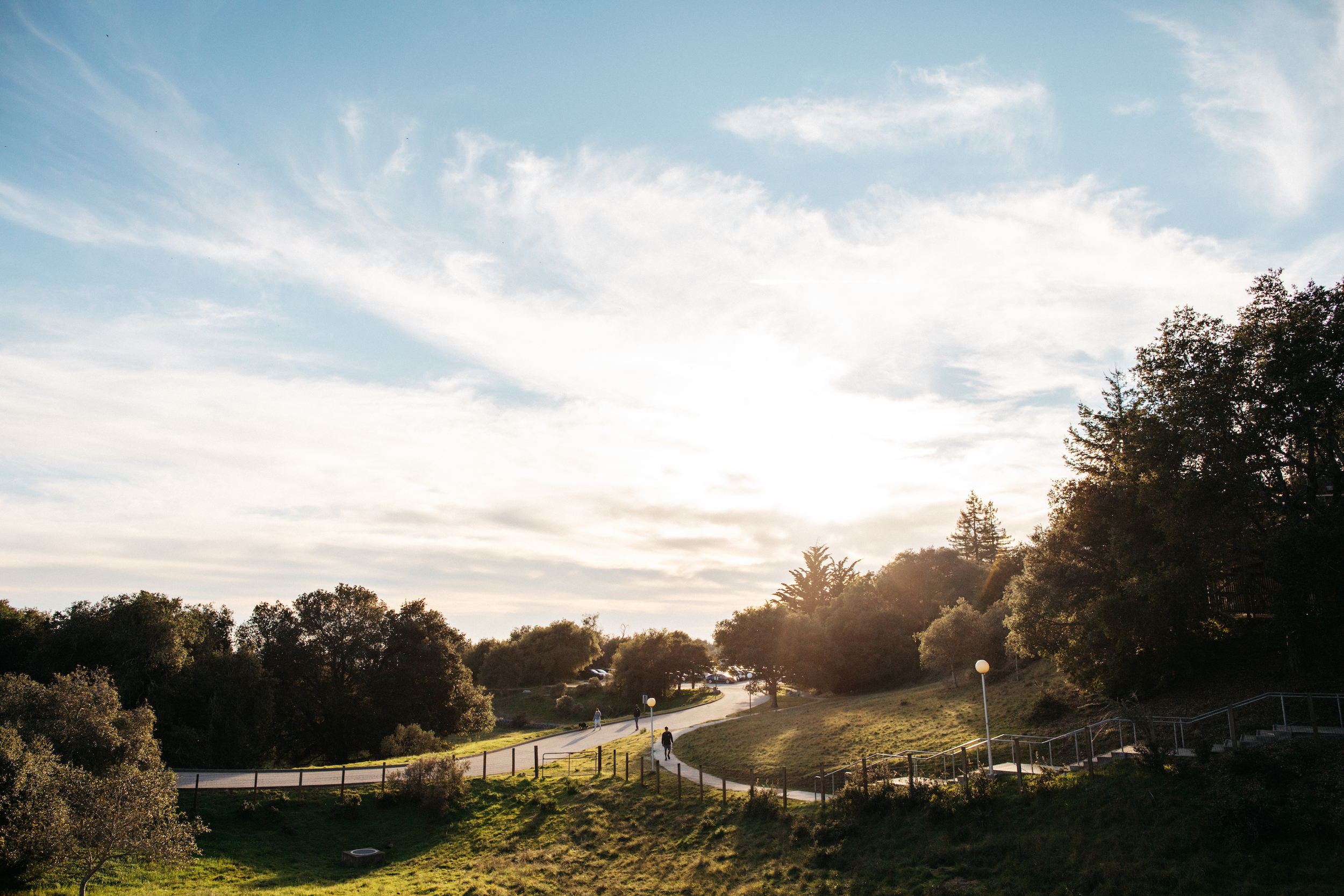 Summer evening near Oakes College