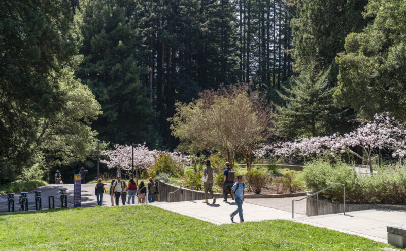 UC Santa Cruz’s new records fee model supports student access and success