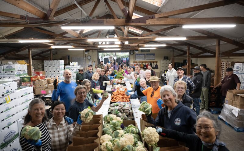 UC Santa Cruz alumni leading local nonprofits: Grey Bears 