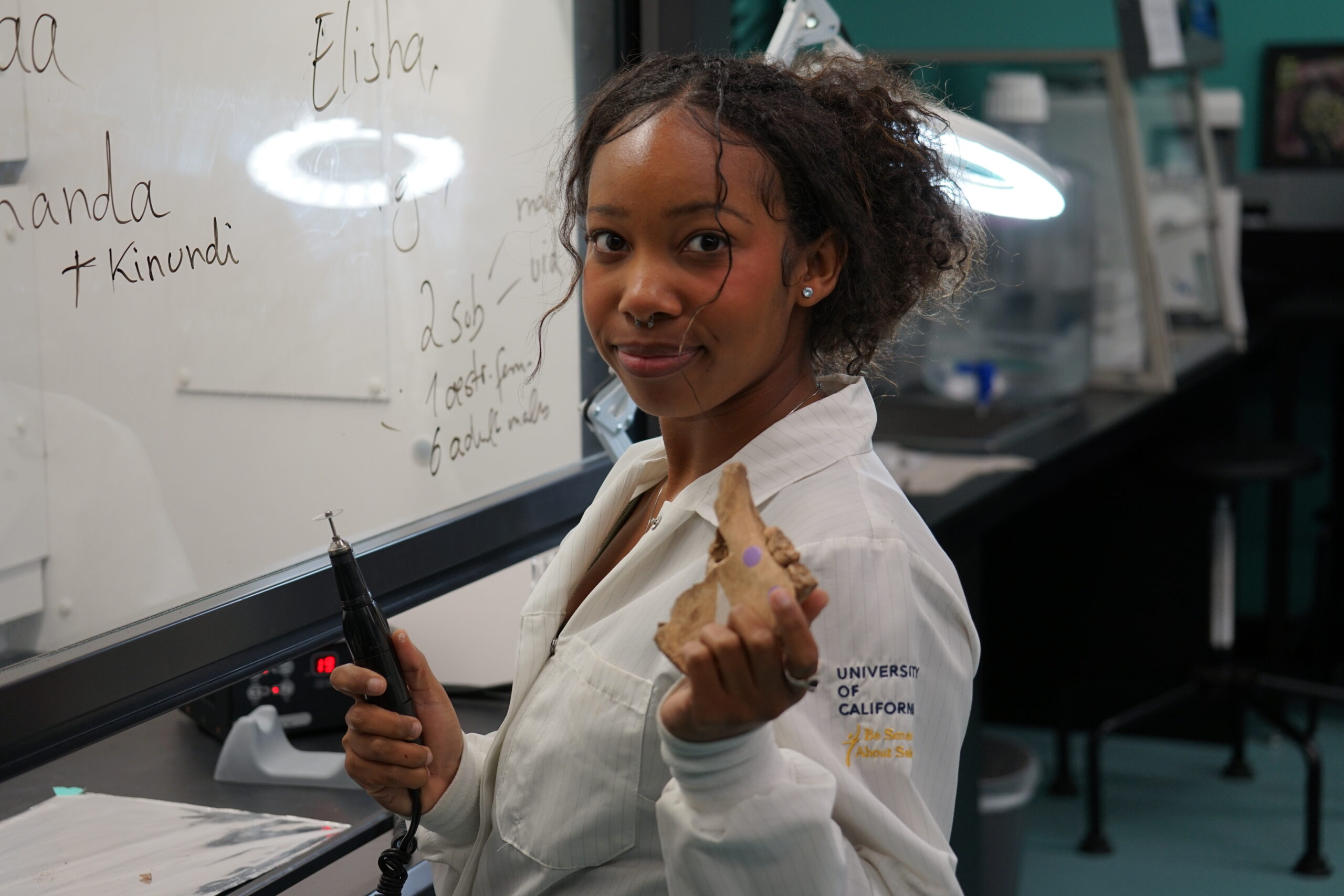 Elyse Venerable holds a saw blade and horse jawbone with teeth in a lab while wearing a white lab coat