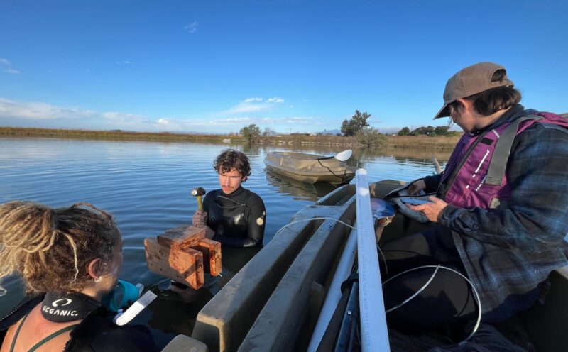 Digital platform for tracing DNA of rare species, pathogens in environment comes to Canada