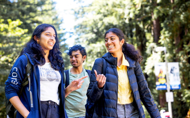 UC Santa Cruz earns high marks in Princeton Review rankings