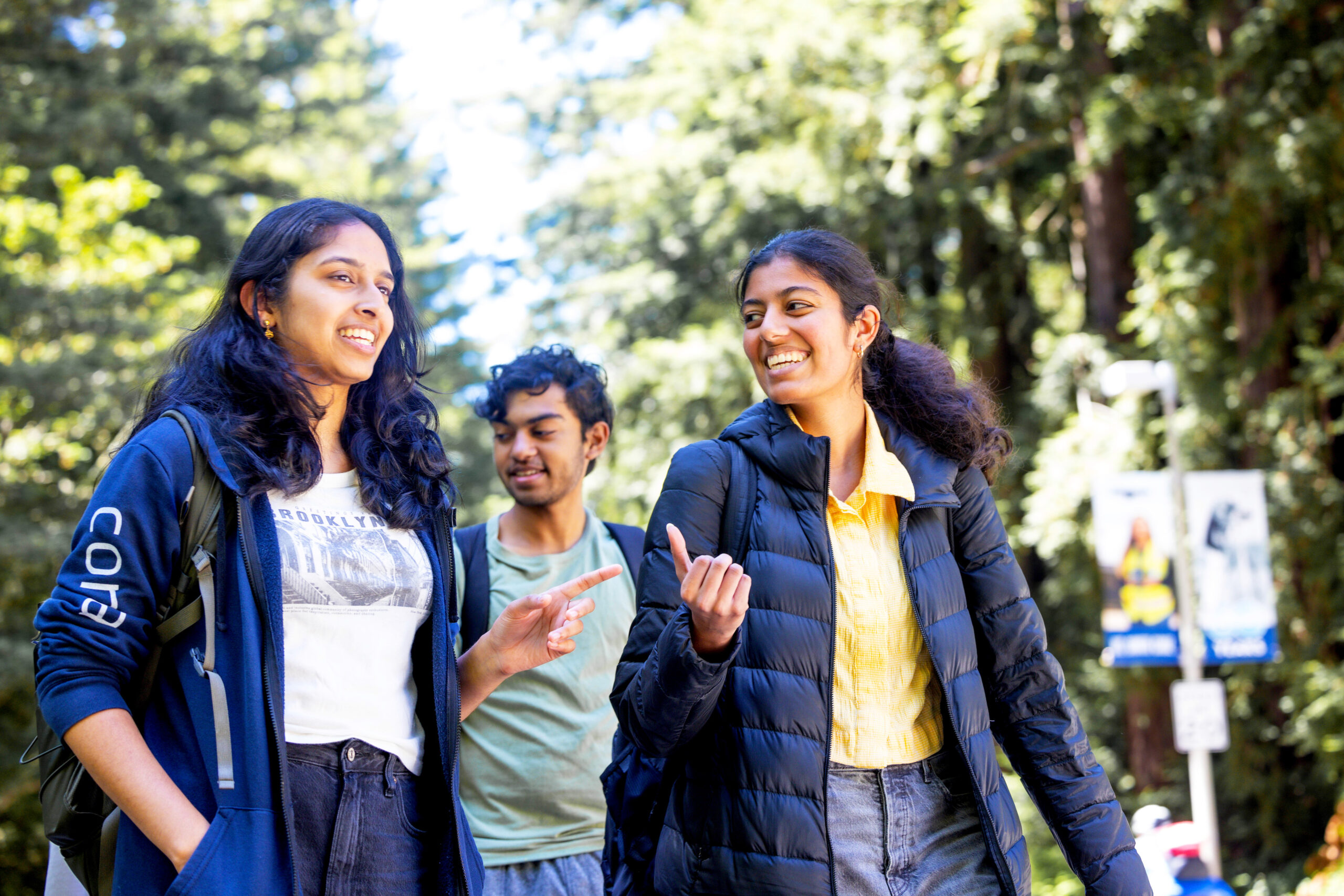 Three UC Santa Cruz students walk and talk together on a sunny campus path surrounded by redwood trees, smiling and engaged in conversation.