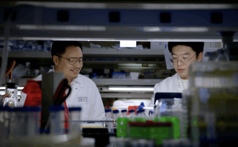 Artificial biosensor can better measure the body’s main stress hormone