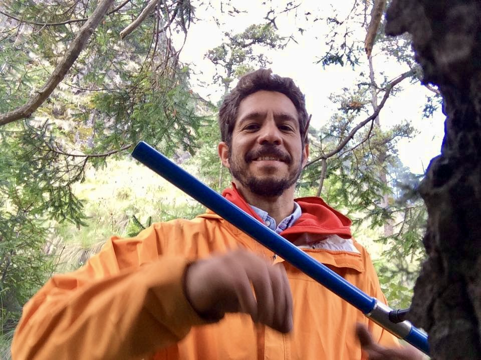 Researcher Paulo Quadri taking a tree-ring sample