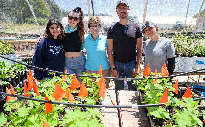 Research project shows how aquaculture, agriculture, and restoration can work together